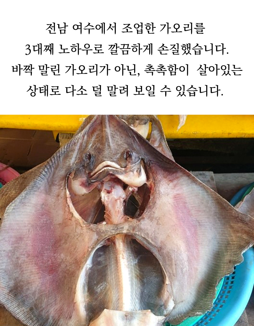 003.jpg