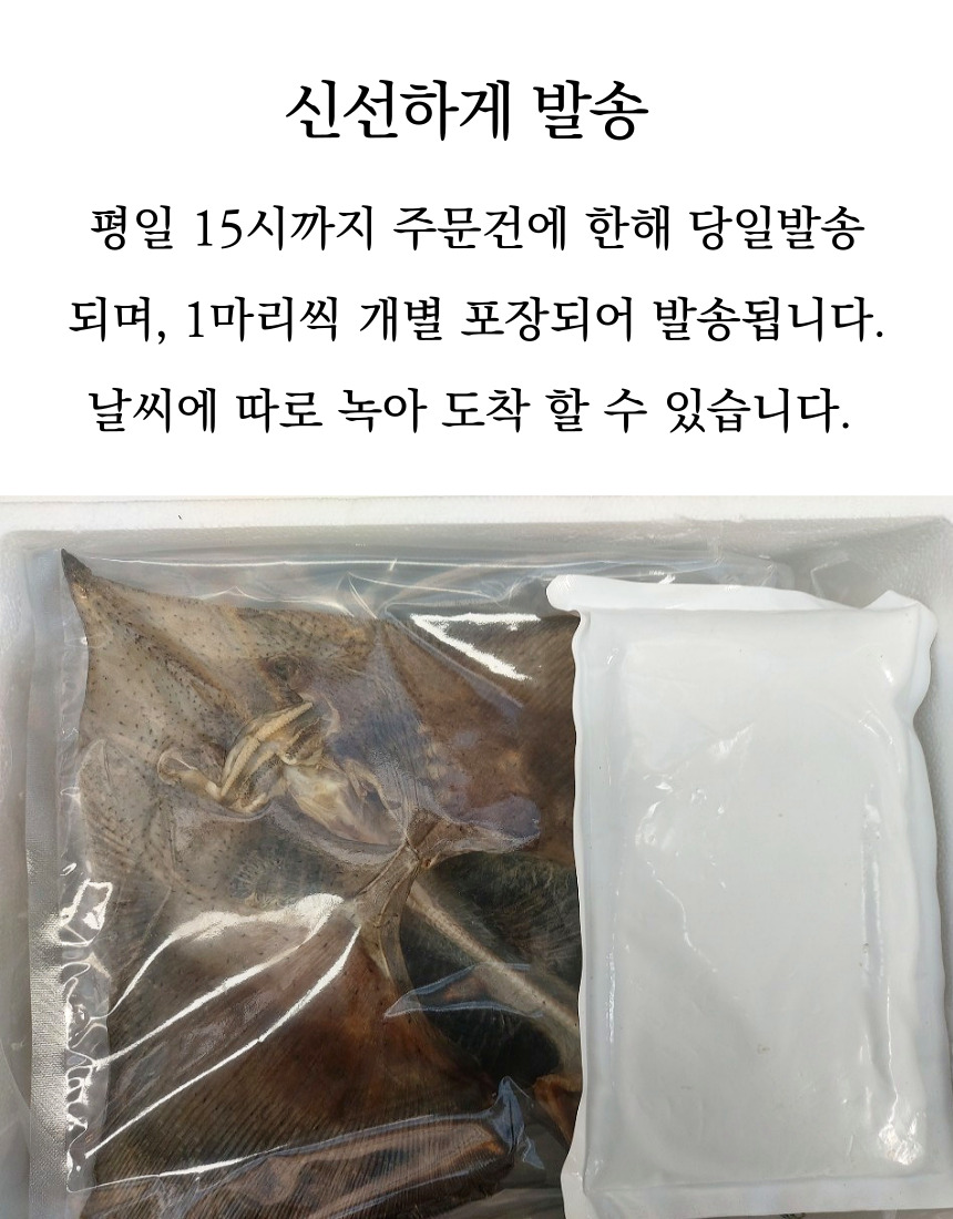 010.jpg