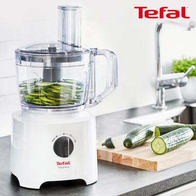 [테팔] 푸드스타터 이지포스 2in1 블렌더 DO2481KR