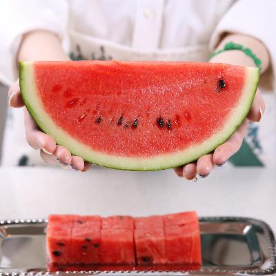 [형원농장] 유명산지 프리미엄 정품 하우스 수박_7kg