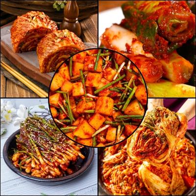 고향담 HACCP인증 전라도 20년전통김치 대용량 포기김치 쪽파 대파 깍두기 5kg 10kg (수입산)