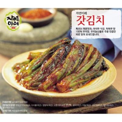 [광주무등골_대통령상 수상] 광주 무등골_갓김치 3kg