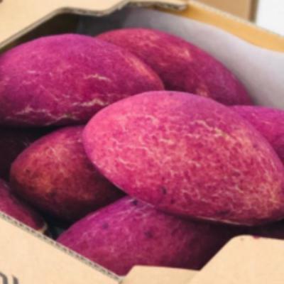 [바이블룸] 수제 고구마빵 10개입 보냉백