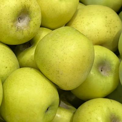 [산지직송] 고당도 달콤아삭 시나노골드 사과 2kg ~ 4kg