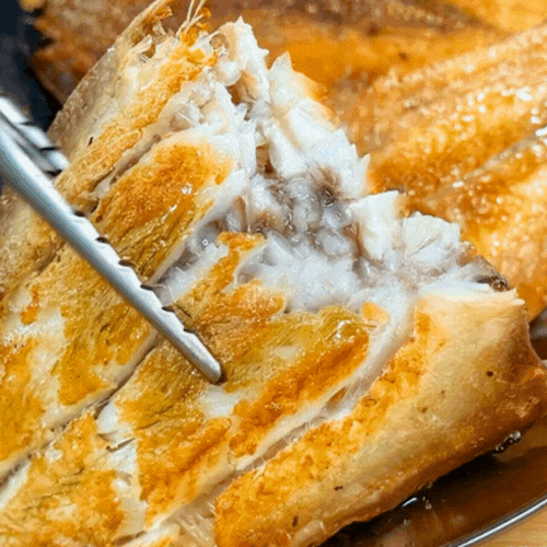 [산지직송] 군산 박대 산지직송 반건조 천일염 황금빛 박대 5미/10미 ( 26~37cm )