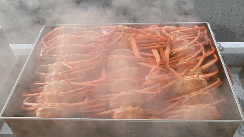 구룡포 선주직송 프리미엄 연지 자숙홍게 실속형/고급형