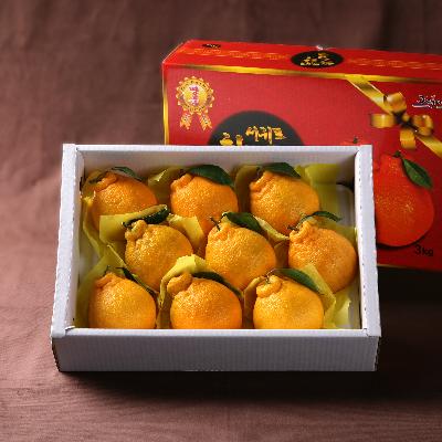 [26년설] [선물세트]한라봉세트3kg(9~10개입)