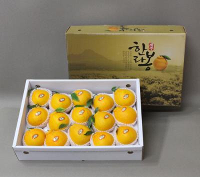 [26년설] [선물세트] 명품한라봉선물세트5kg(15~20개입)