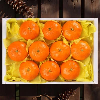 [26년설] [선물세트]레드향세트3kg(8~12개입)