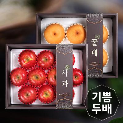 [26년설] [기쁨두배]사과1박스(10개)+배1박스(6개)