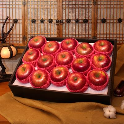 [26년설] [선물세트]사과세트 5kg(15~16개입)