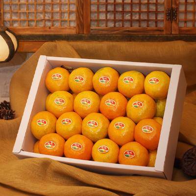 [26년설] [선물세트]제주하우스감귤3kg(35개내외)