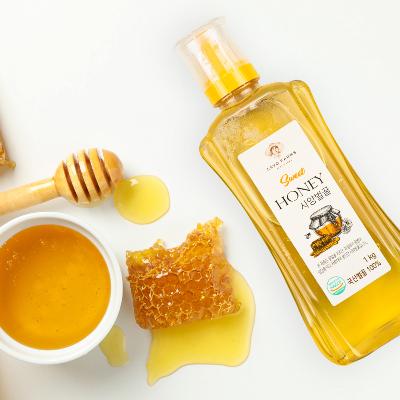 [가보팜스] 사양벌꿀 2kg