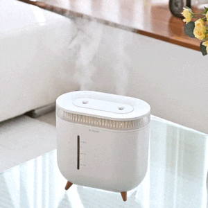 보만 무선 무드등 미니가습기 2L WHF2L1W