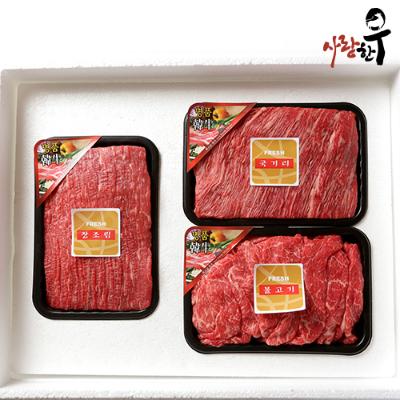 [26년설] 사랑한우 정육 특가 5호 1.2Kg 불국장 (불고기400g+국거리400g+장조림400g) +부직포가방 포함