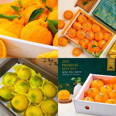 [설선물] 제주 만감류 선물세트 3kg/5kg (써니트한라봉/한라봉/레드향/천혜향/윈터프린스)