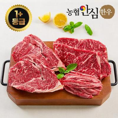 농협안심한우 1+등급 "구이 마이스터" 한우세트600g(등심300g+갈비살150g+채끝150g)-TM003