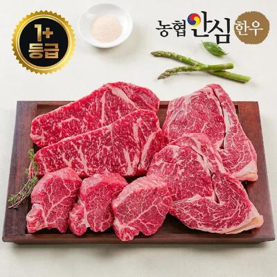 농협안심한우 1+등급 "기분 좋은 선물, 구이의 품격" 한우선물세트900g(등심300g+안심300g+채끝300g)-TM006