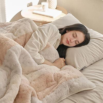 프롬비 프리미엄 전기담요 전기요 FE242N 허니베이지 대형