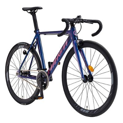 [2026,삼천리자전거] 픽시형 아팔란치아 라테르반 1 700C / 530 size / 9.4kg