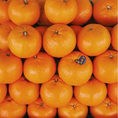 미국산 고당도 만다린 귤 1kg 2kg 3kg 