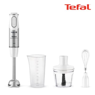 테팔 핸드블렌더 마스터블렌드 플러스 HB6531KR