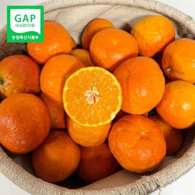 제주직송 GAP 고당도 세미놀 홍귤 희귀품종 새콤달콤 감귤 3~10kg