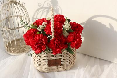 생화 꽃바구니 카네이션 소 (레드/핑크/혼합)