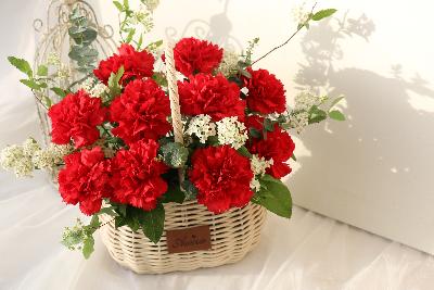 생화 꽃바구니 카네이션 중 (레드/핑크/혼합)