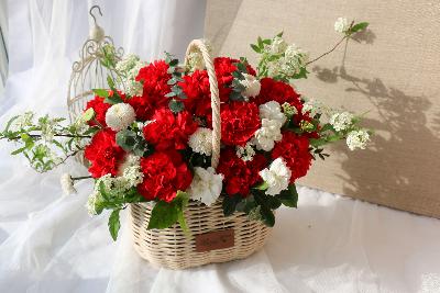 생화 꽃바구니 카네이션 대 (레드/핑크/혼합)
