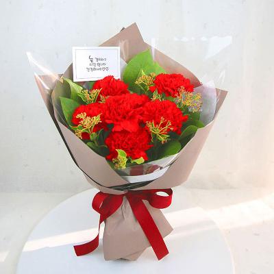 생화 카네이션 꽃다발 (레드/핑크)