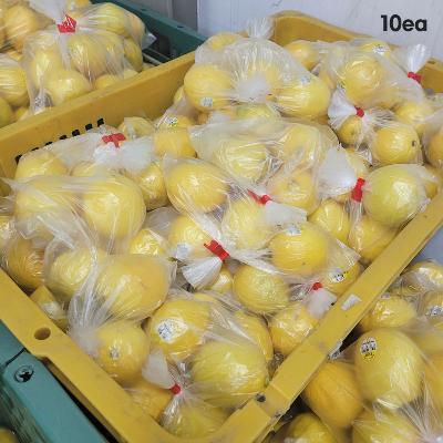 [경매선별농산물] 레몬 10EA(140과,120G내외)