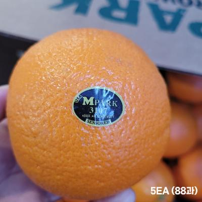 [경매선별농산물] 오렌지(88과,200G내외/EA) 수입산 5입