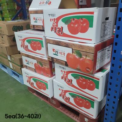 [경매선별농산물] 사과 5EA(36~40과,230G~250G이상/EA)