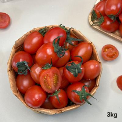 [경매선별농산물] 대추방울토마토 3KG(팩,3번과)