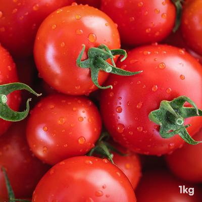 [경매선별농산물] 방울토마토 1KG(3번과)