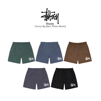 [STUSSY] 스투시 빅 베이직 워터 쇼츠