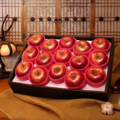 [선물세트]햇살품은 사과세트 5kg(사과310g내외/15~16개입)